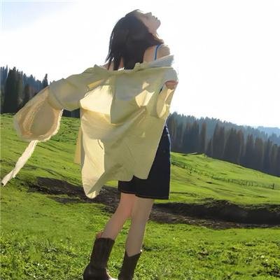 扬州八怪 在线观看